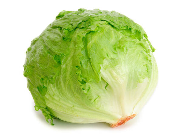 Lechuga